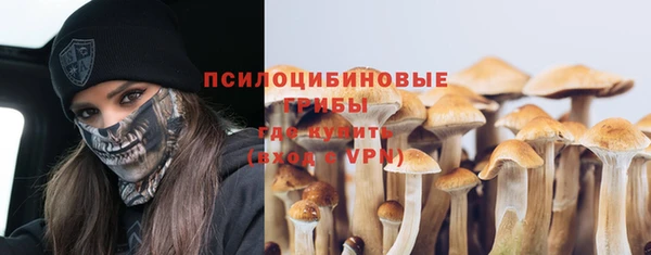 амфетамин Горнозаводск