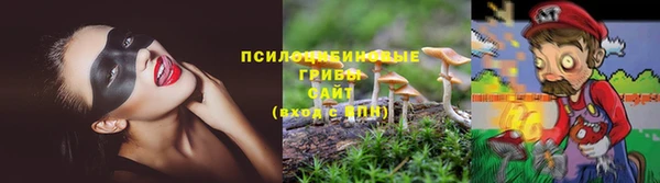 2c-b Абдулино