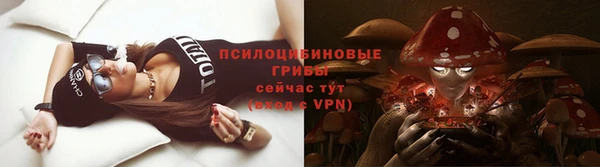 спиды Абаза